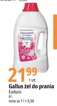 E.Leclerc Żel do prania color Gallus oferta