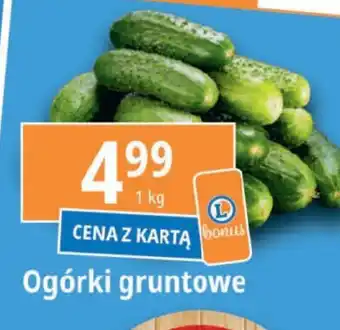 E.Leclerc Ogórki gruntowe 1 kg oferta