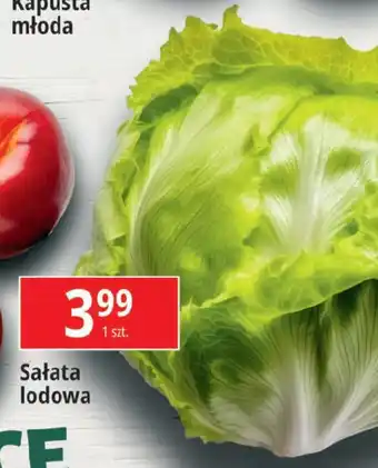 E.Leclerc Sałata lodowa oferta