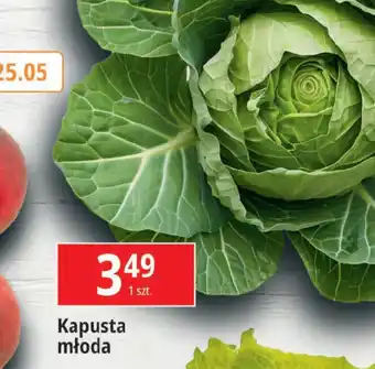 E.Leclerc Kapusta młoda oferta