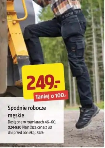 Jula Spodnie robocze męskie oferta