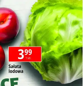 E.Leclerc Sałata lodowa oferta