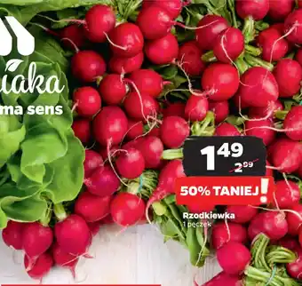 Netto Rzodkiewka oferta