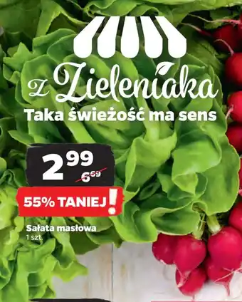 Netto Sałata masłowa oferta