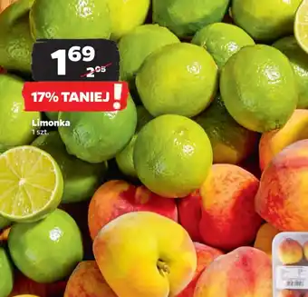 Netto Limonka oferta