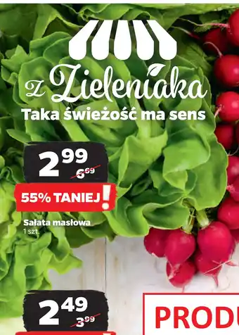 Netto Sałata masłowa oferta