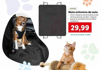 Lidl Mata ochronna do auta oferta