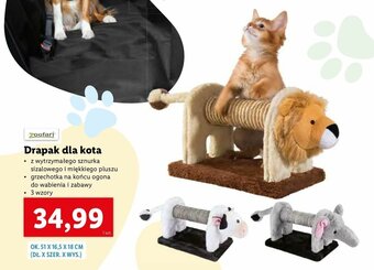 Lidl Drapak dla kota oferta