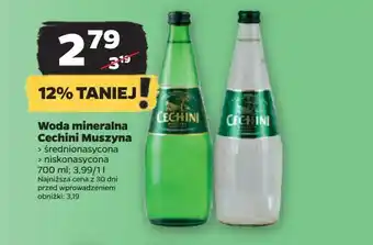 Netto Woda wysokozmineralizowana Muszyna Cechini oferta