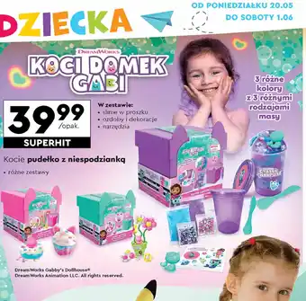Biedronka Kocie pudełko z niespodzianką oferta