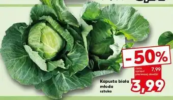 Kaufland Kapusta biała młoda oferta