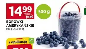 Stokrotka Market Borówki amerykańskie oferta