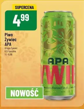 Polomarket Piwo Żywiec oferta