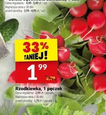 Twój Market Rzodkiewka 1 pęczek oferta