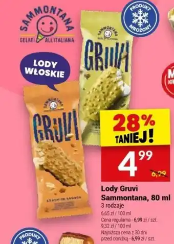 Twój Market Lody Gruvi Sammontana, 80 ml oferta