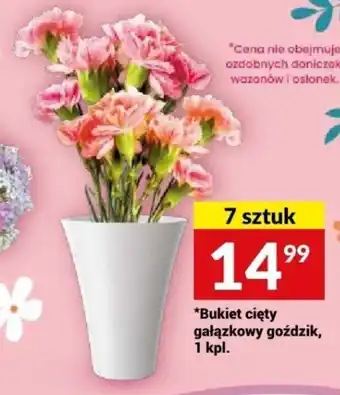 Twój Market Bukiet cięty gałązkowy goździk oferta