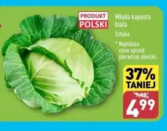 ALDI Młoda kapusta biała oferta