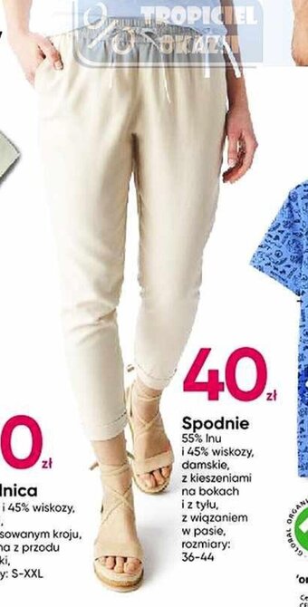 Pepco Spodnie damskie oferta