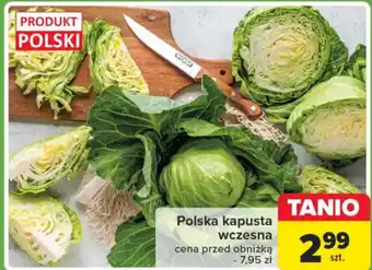 Carrefour Polska kapusta wczesna oferta