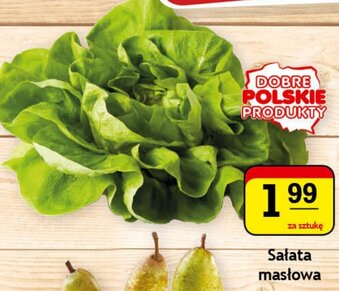 Gram Market Sałata masłowa 1 szt. oferta