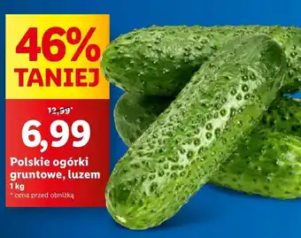 Lidl Ogórki oferta