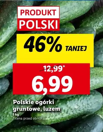 Lidl Ogórki Polski oferta