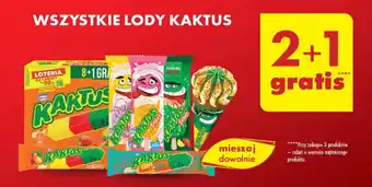 Biedronka WSZYSTKIE LODY KAKTUS oferta