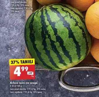 Biedronka Arbuz mini na wagę 1 kg oferta