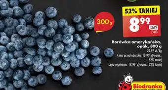 Biedronka Borówka amerykańska, opak. 300 g oferta