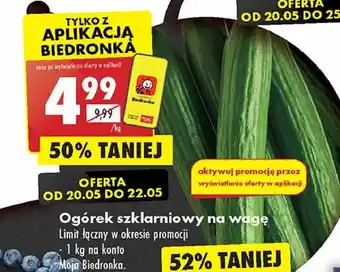Biedronka Ogórek szklarniowy oferta