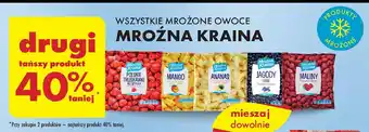 Biedronka Jagody leśne Mroźna Kraina oferta