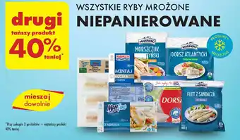 Biedronka Morszczuk argentyński filety bez skóry Marinero oferta