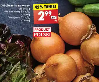 Biedronka Cebula żółta polska oferta