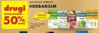 Biedronka WSZYSTKIE HERBATY HERBARIUM oferta