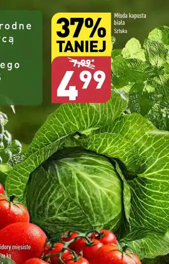 ALDI Młoda kapusta biała oferta