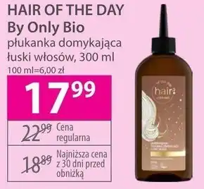 Hebe Płukanka do włosów Hair Of The Day oferta