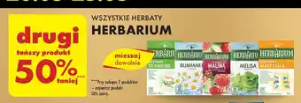 Biedronka Herbata aktywne trawienie Herbarium oferta