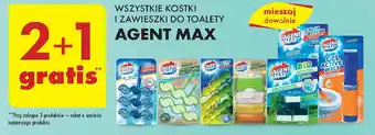 Biedronka Zawieszka zielona Agent Max Active Ball oferta