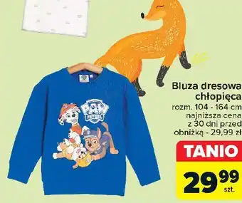Carrefour Bluza dresowa chłopięca oferta