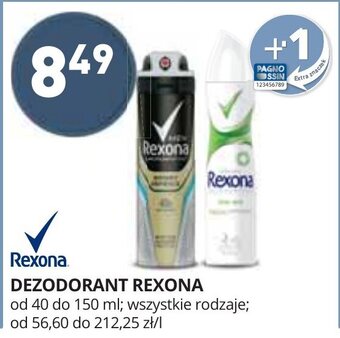 Stokrotka Dezodorant Rexona 40-150ml oferta