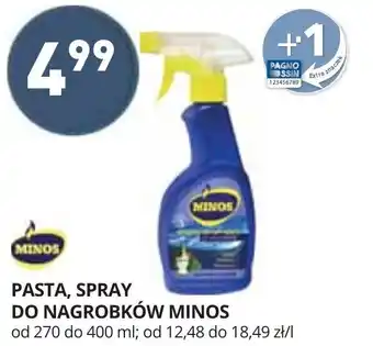 Stokrotka Pasta, Spray do nagrobków 270-400ml oferta