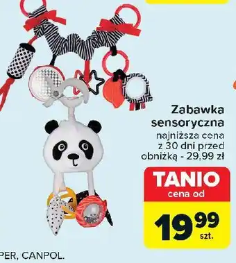 Carrefour Zabawka sensoryczna oferta