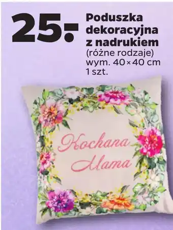 Netto Poduszka dekoracyjna oferta