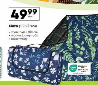 Biedronka piknikowa Mata oferta
