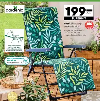 Biedronka Fotel Gardenic oferta