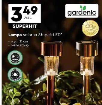 Biedronka Lampa solarna Gardenic oferta