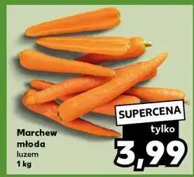 Kaufland Marchewka młoda oferta