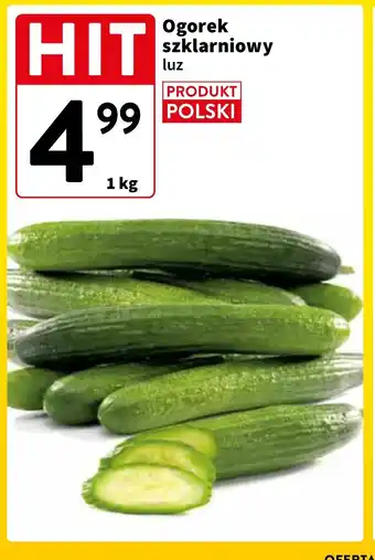 Intermarche Ogorek szklarniowy 1 kg oferta