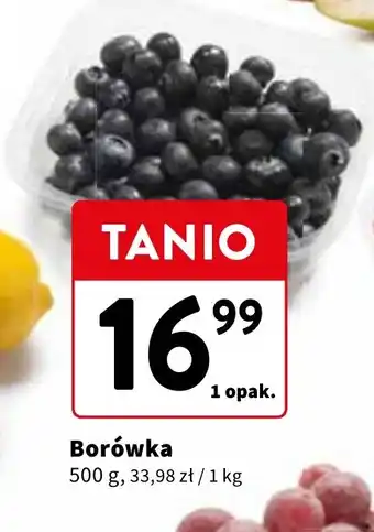 Intermarche Borówka 500 g oferta