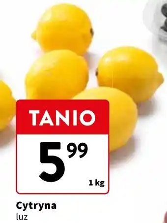 Intermarche Cytryna 1 kg oferta